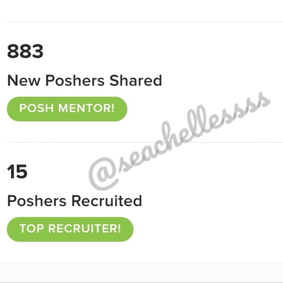 Top Seller | Fast Shipper | Top-Rated Seller | Top 10% Sharer | Posh Mentor - Picture 3 of 16
